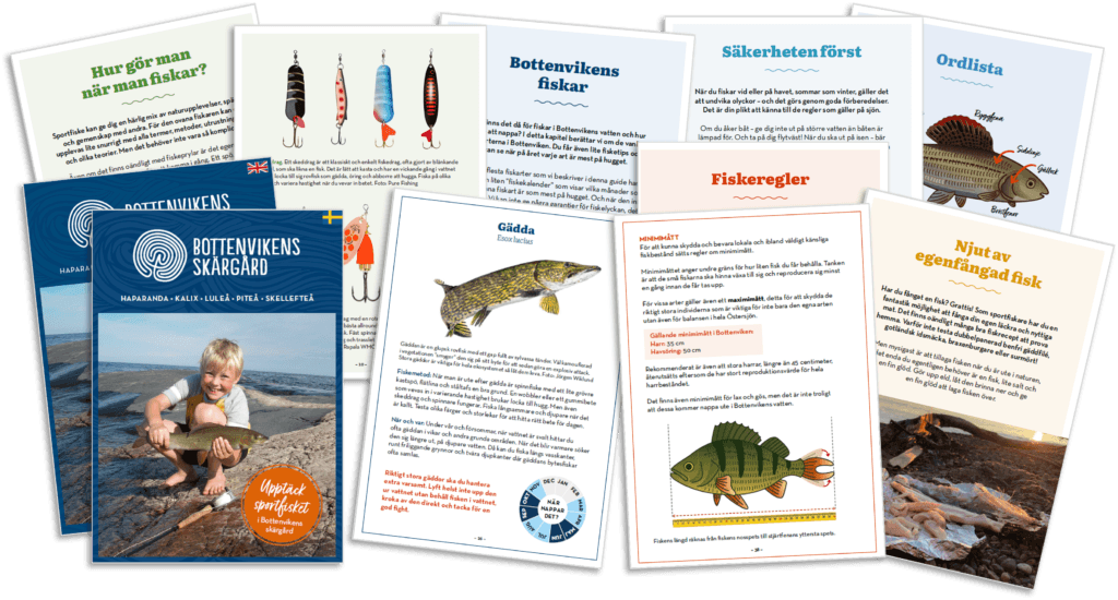 En bild som visar ett antal sidor från Sportfiskeguide